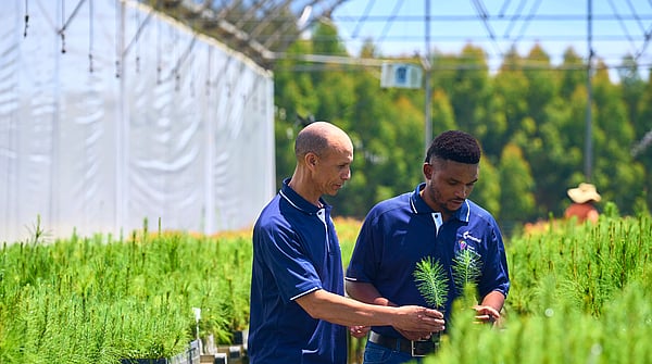 two forestry workers in blue polo shirts examining and holding plants in a large greenhouse structure