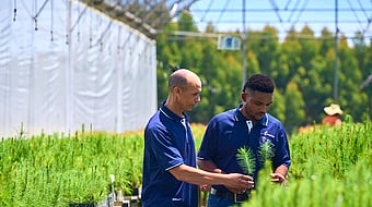 two forestry workers in blue polo shirts examining and holding plants in a large greenhouse structure