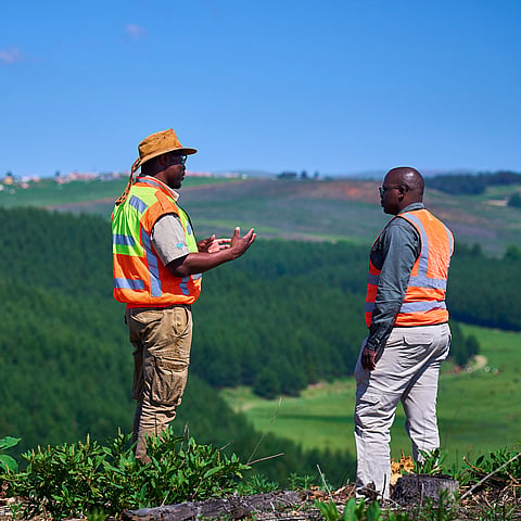 workers on a field