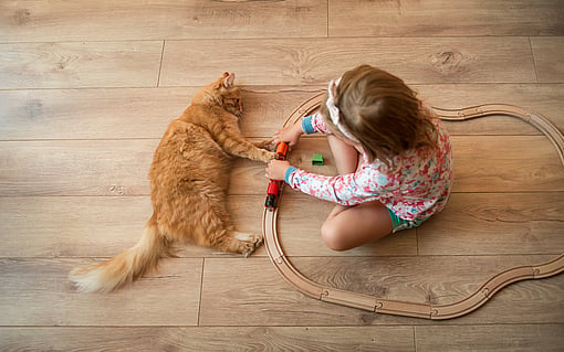 girl and cat playing together