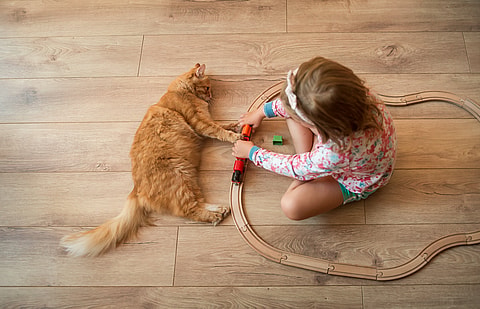Little girl and cat playing together
