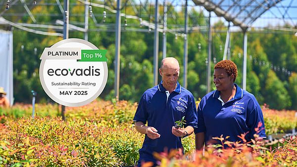 Two Mondi colleagues walking and talking beside a plantation while holding a plant.