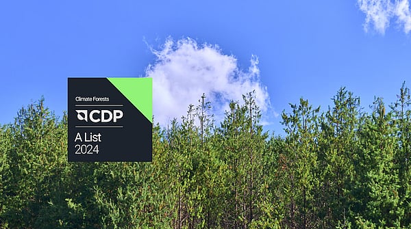 Mondi CPD announcement