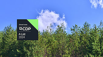 Mondi CPD announcement