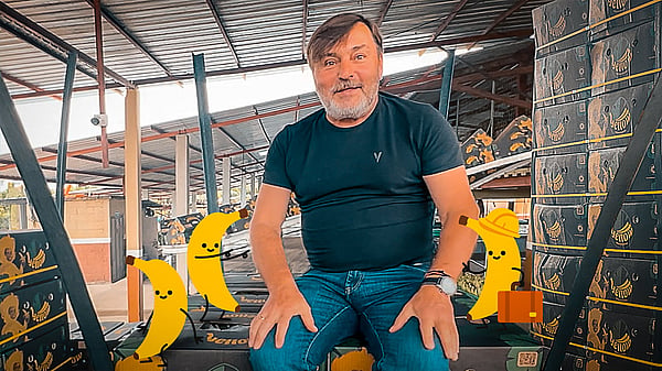 Marek Motylewski from Mondi, surrounded by corrugated boxes filled with bananas.
