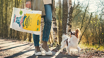 The bottom half of a lady wearing blue jeans, khaki jacket and brown and white boots walking beside a white and brown dog in a forest background while holding a bag of dog food
