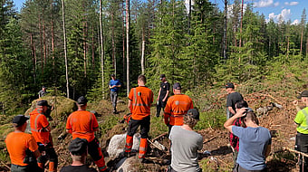 forestry workers in a forest in Finland overlooking a fallen tree