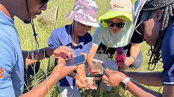 Mondi people using the iNaturalist app to digitally record and identify all types of trees, plants and animals in this instance examining a butterfly