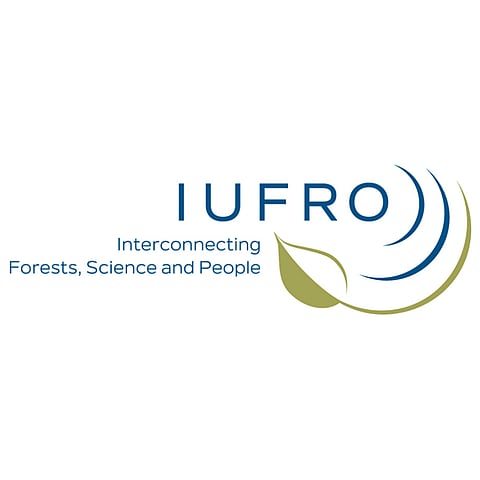 TEAMING UP 4 FORESTS logo