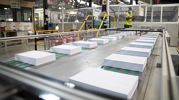 Merebank mill in production
