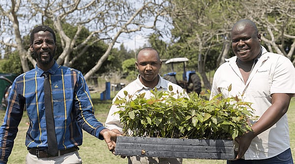 Three men from Mondi Zimele stood side-by-side holding farm produce with trees in the background