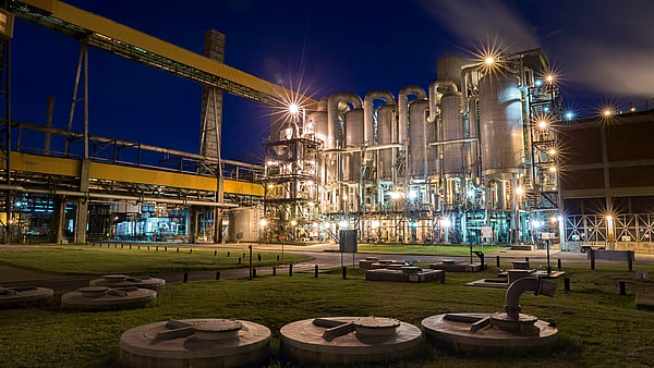 Mondi South Africa night view of plant
