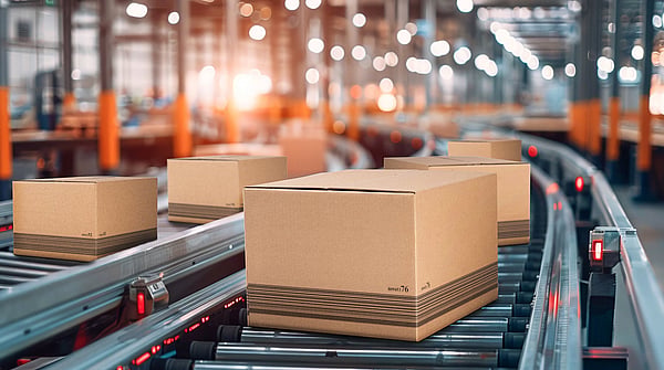 brown cardboard boxes moving along a conveyor belt in a factory setting.