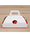A small tray with tomatoes and a handle.