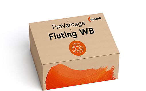 A brown corrugated box labelled ProVantage Fluting WB.