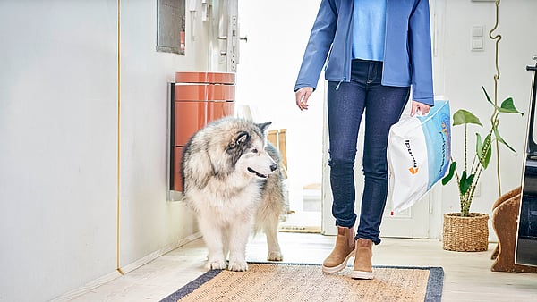 woman holding a large bag of pet food stands next to a husky dog in a home's hallway