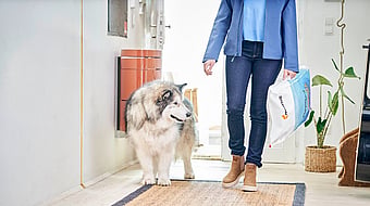 woman holding a large bag of pet food stands next to a husky dog in a home's hallway