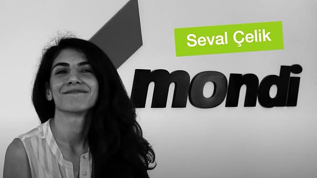 Seval Celik, Design Specialist